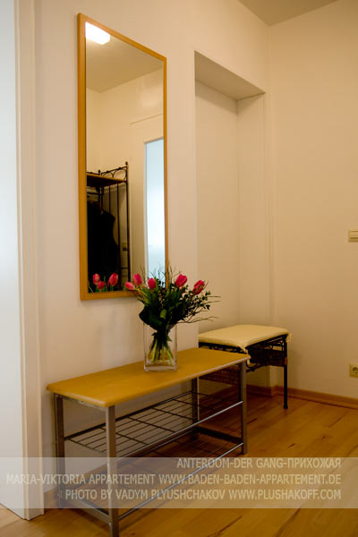 anteroom, der gang, прихожая- Maria-Viktoria-Appartement in Baden-Baden